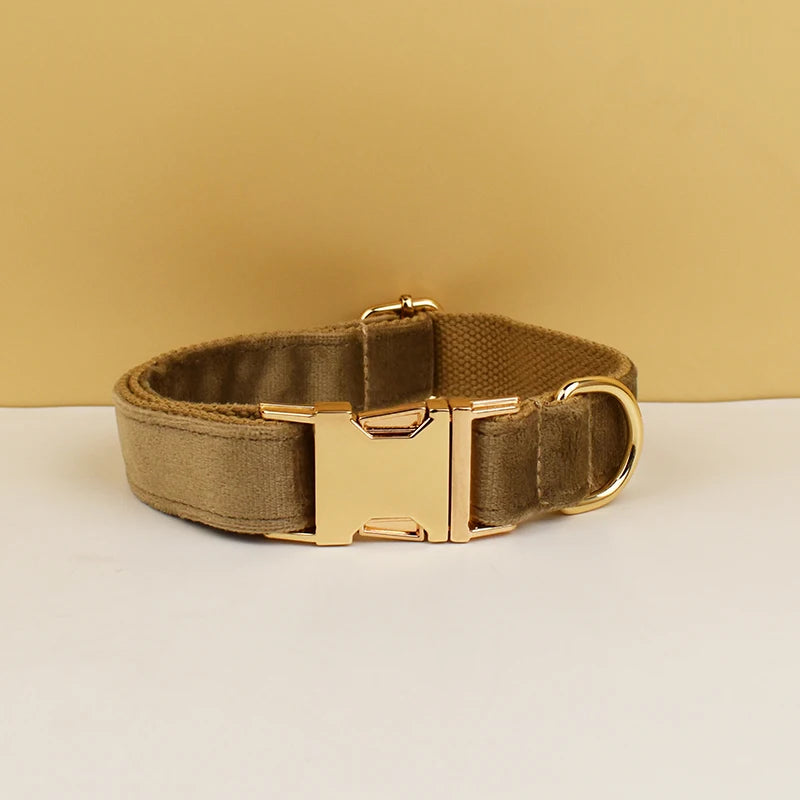 Luxury Velvet dog collar with options to add on detachable bow and lead