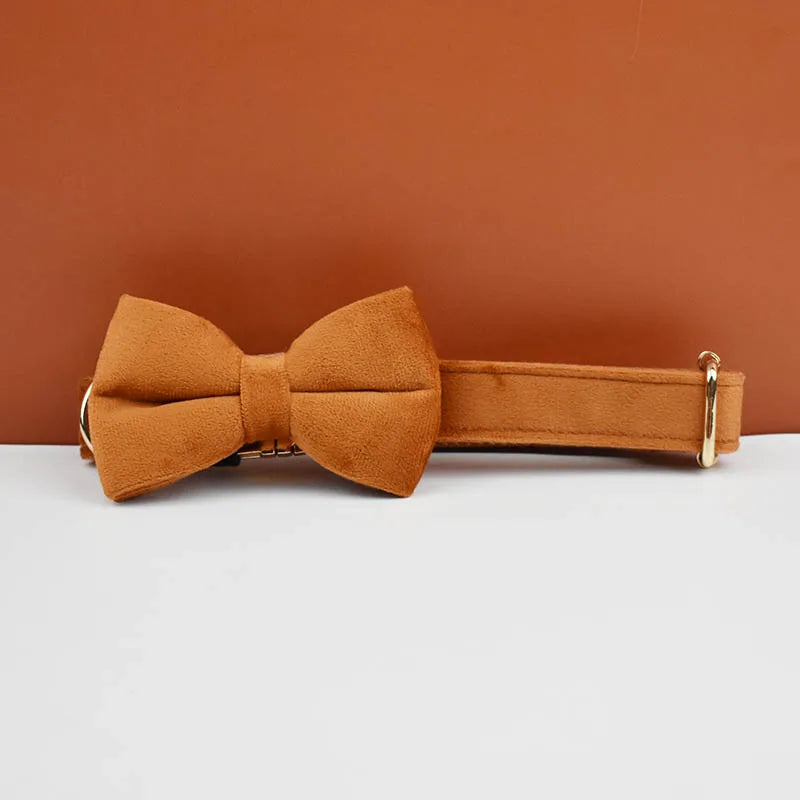 Luxury Velvet dog collar with options to add on detachable bow and lead