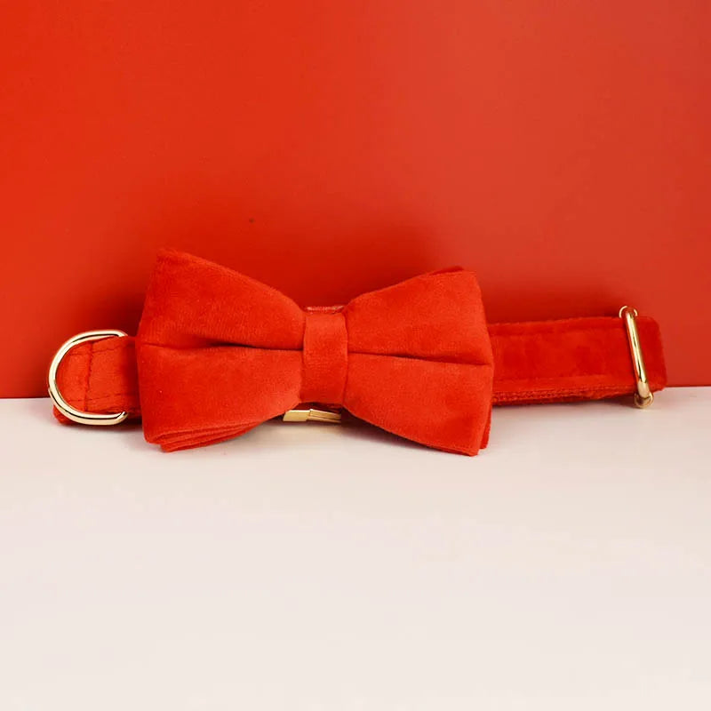 Luxury Velvet dog collar with options to add on detachable bow and lead