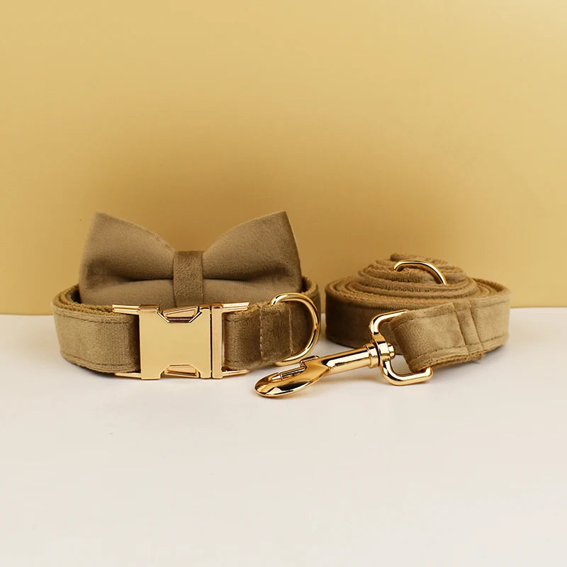 Luxury Velvet dog collar with options to add on detachable bow and lead