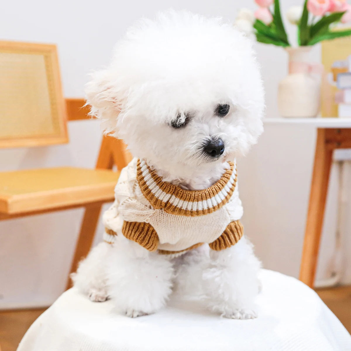 Cozy Knitted Dog Jumper with Bow Detail