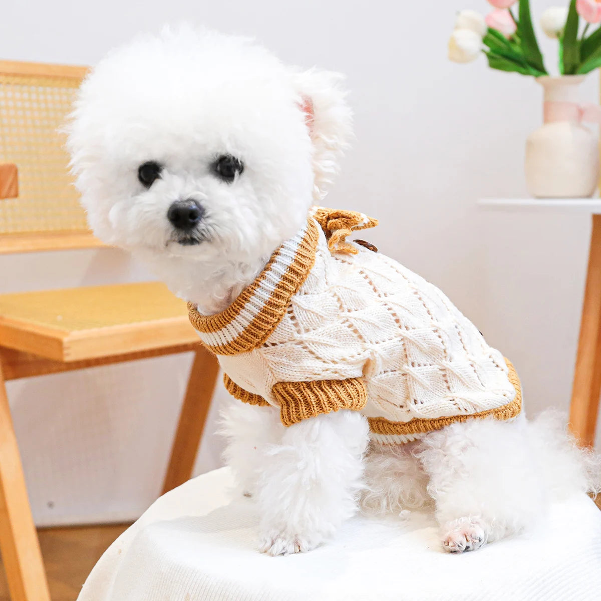 Cozy Knitted Dog Jumper with Bow Detail